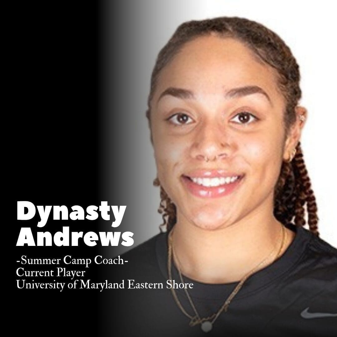 Dynasty