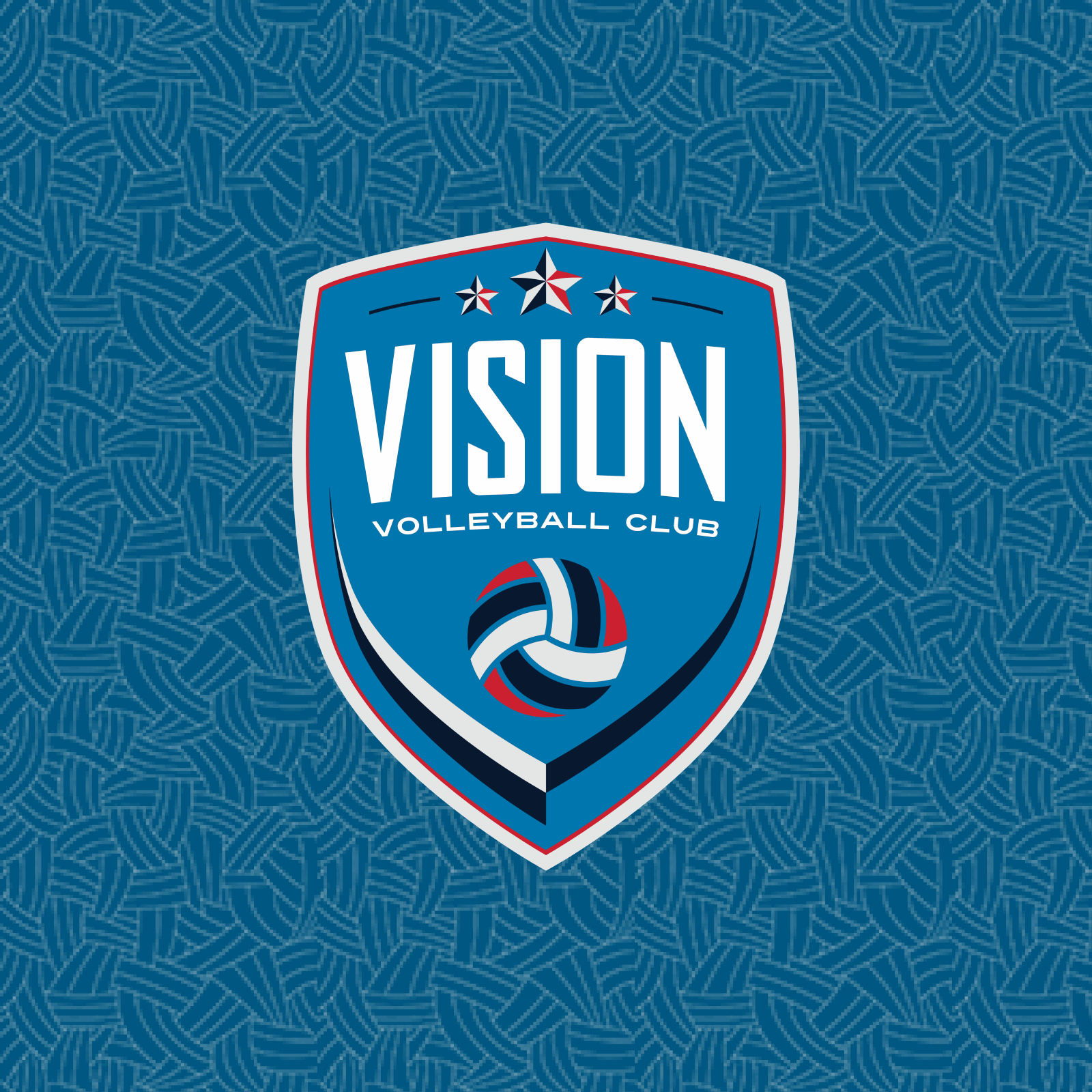 vision vb placeholder (1)